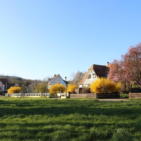 Romantik-Home Nordelsass - Ferienwohnung Fuer Selbstversorger Oberhoffen-les-Wissembourg Kültér fotó