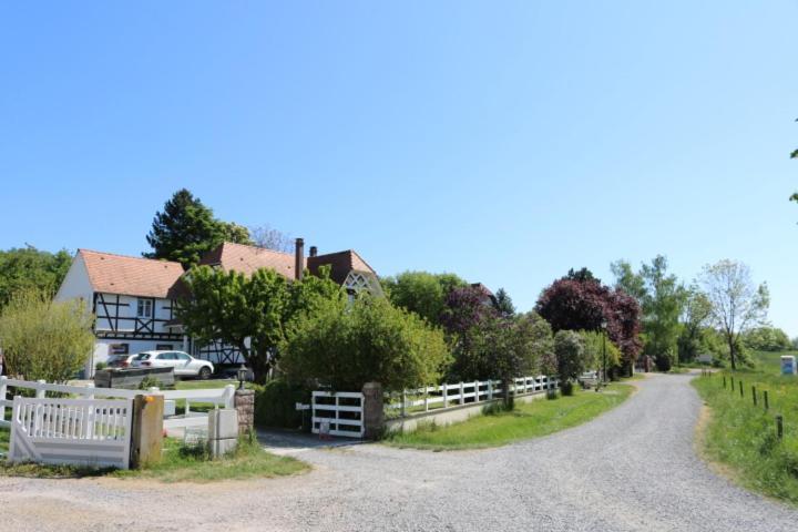 Romantik-Home Nordelsass - Ferienwohnung Fuer Selbstversorger Oberhoffen-les-Wissembourg Kültér fotó